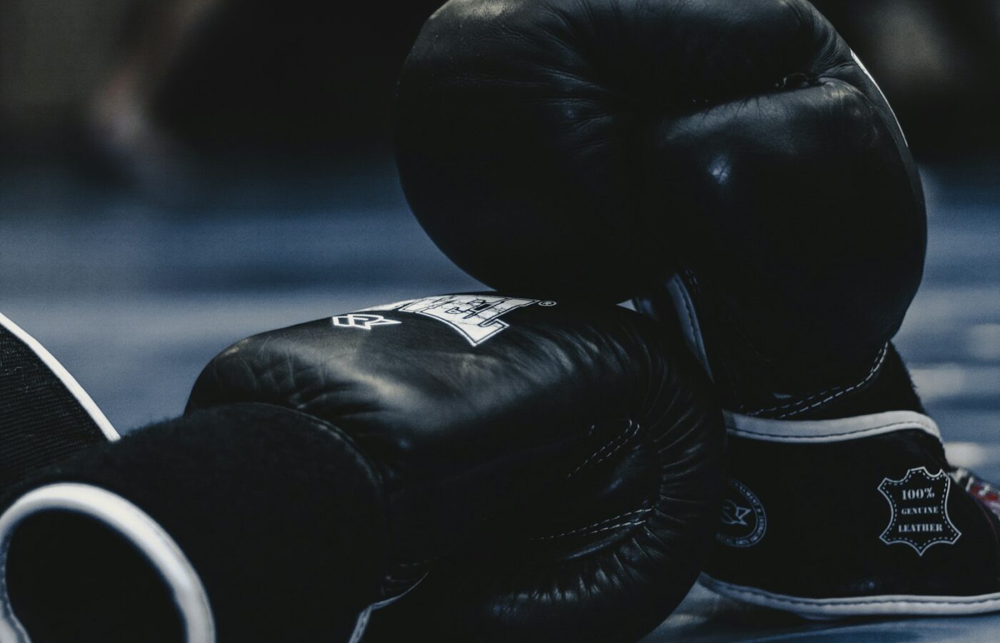 The Boxer Who Checked His Gloves and Never Fought Again