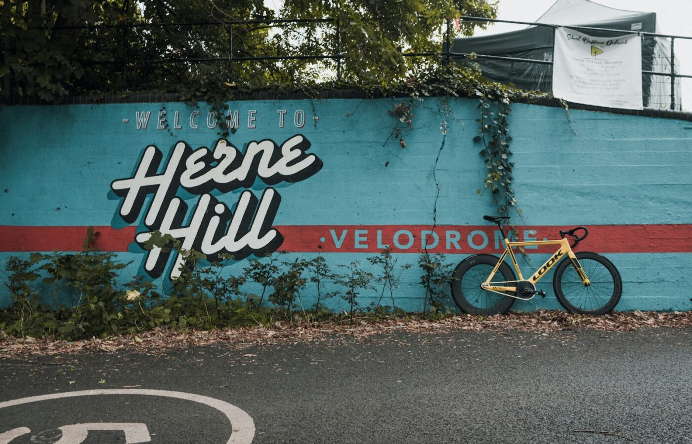 The Cyclist Who Crashed on Purpose
